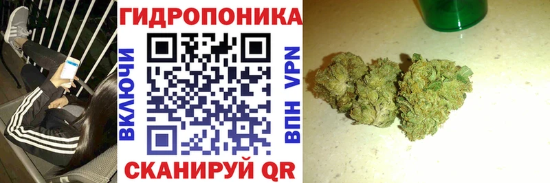 Где продают наркотики Карачев Канабис  МЕФ  АМФЕТАМИН  Гашиш  Кокаин 