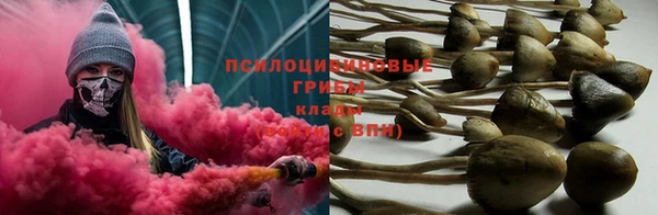 ешки Алексин