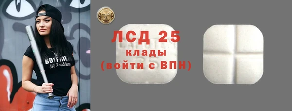 ешки Алексин