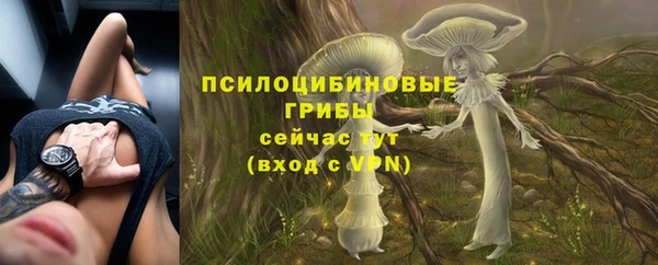 дмт Абдулино