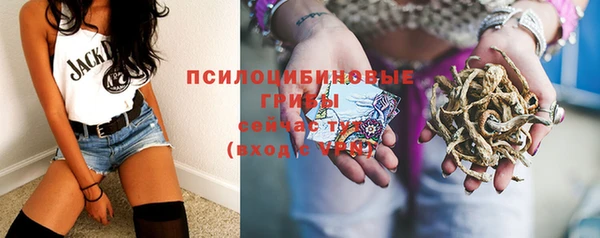 ешки Алексин