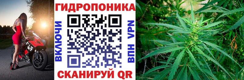 Шишки марихуана VHQ  Карачев 